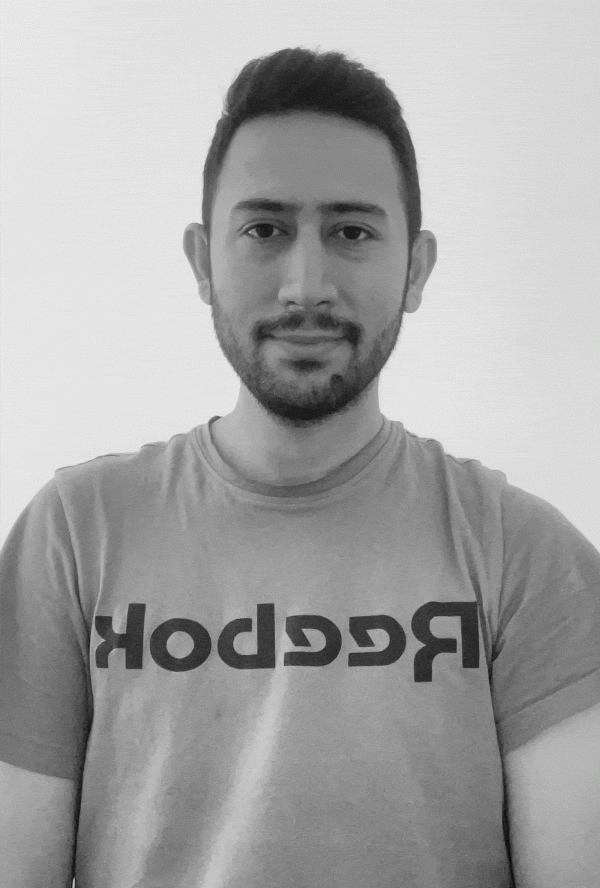 امیرمحمد میر